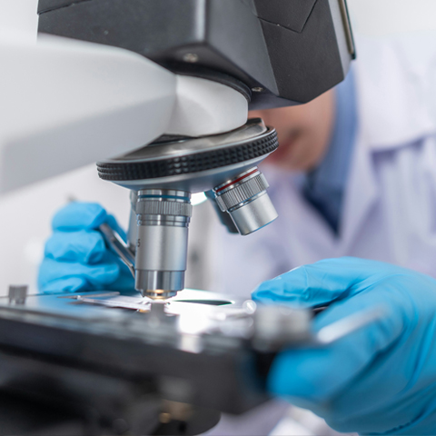 Bourse thématique - SFMV 2026 -  Montant 30 000€ - Date limite 31 janvier 2026