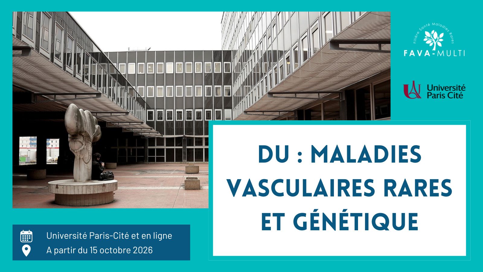 DU fava multi