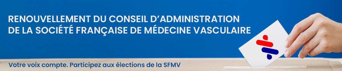 Scrutin SFMV