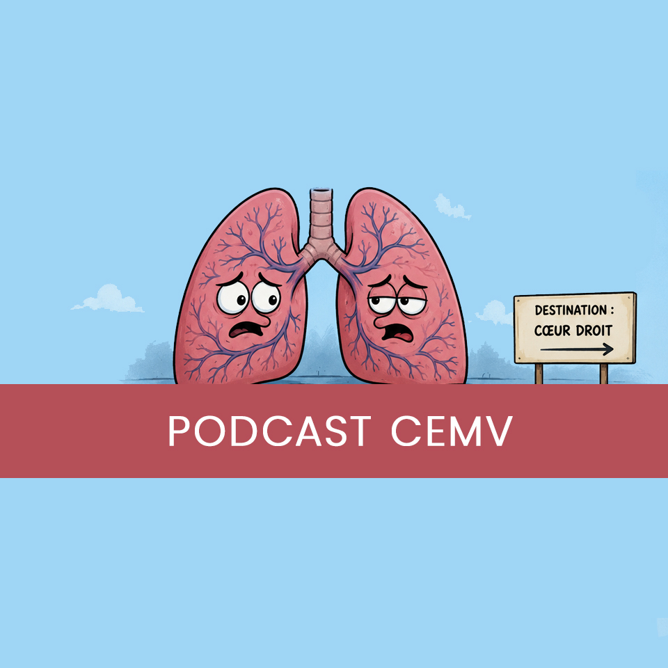 L'hypertension pulmonaire post-embolique avec les Pr PERNOD et Pr DEGANO 