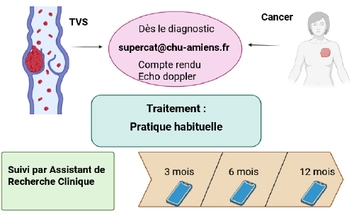 etude supercat schema